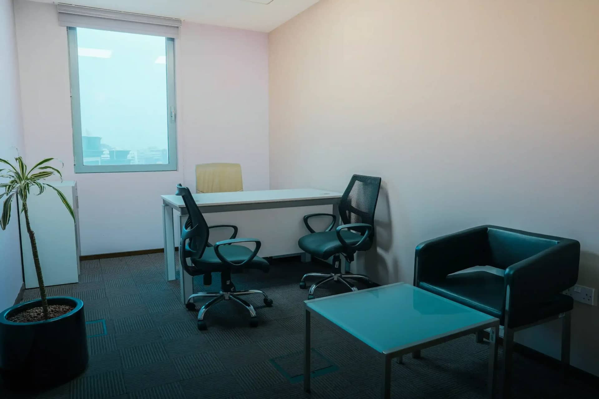 Premium Executive Office